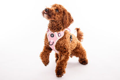 The Pink Herringbone Harness