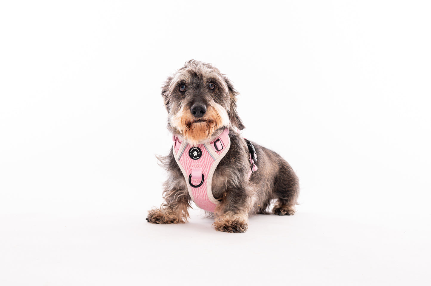 Harness, Lead & Poo Bag Bundle - Pink Herringbone