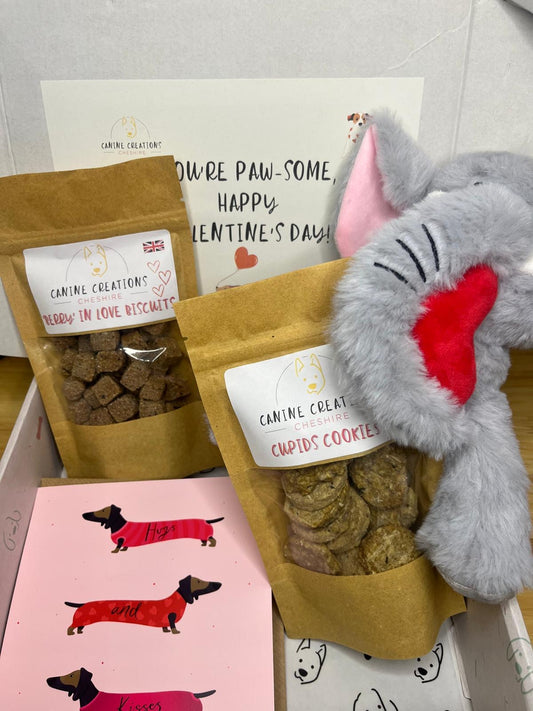 Valentines Dog Treat Box