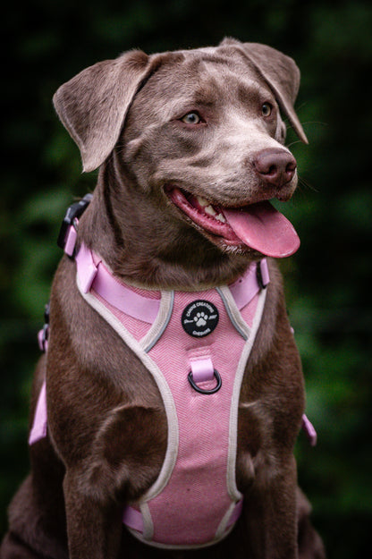 Harness, Lead & Poo Bag Bundle - Pink Herringbone