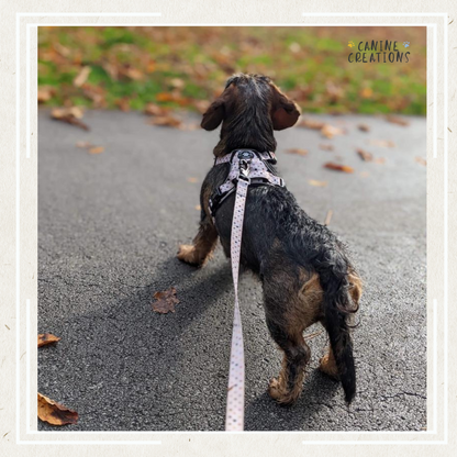 The Polka Dot Harness