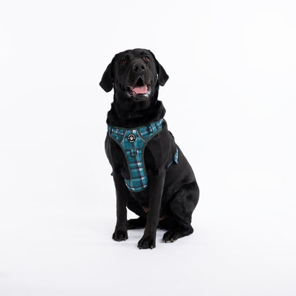 Harness, Lead & Poo Bag Bundle - Chequered